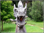 foto Castel Welsperg 